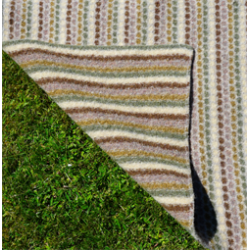 PETITE SKILDPADDE TPPE